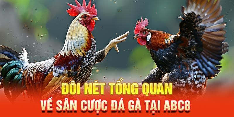 Giới thiệu tổng quan về sảnh đá gà ABC8 kịch tính khó cưỡng