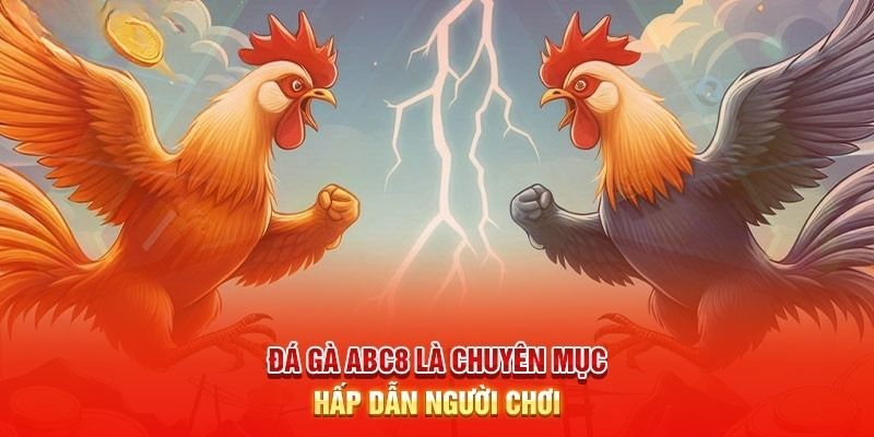 Cá cược tại sảnh đá gà ABC8 chiến thắng nhận về thưởng khủng 