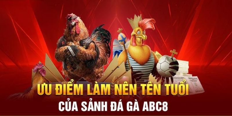 Một vài dạng tranh tài chọi gà nảy lửa nên thử nhất tại ABC8 