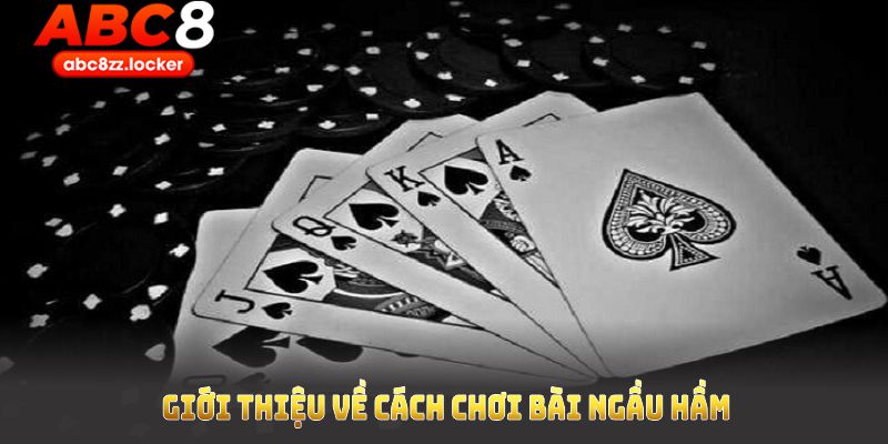 Giới thiệu về cách chơi bài ngầu hầm phổ biến nhất